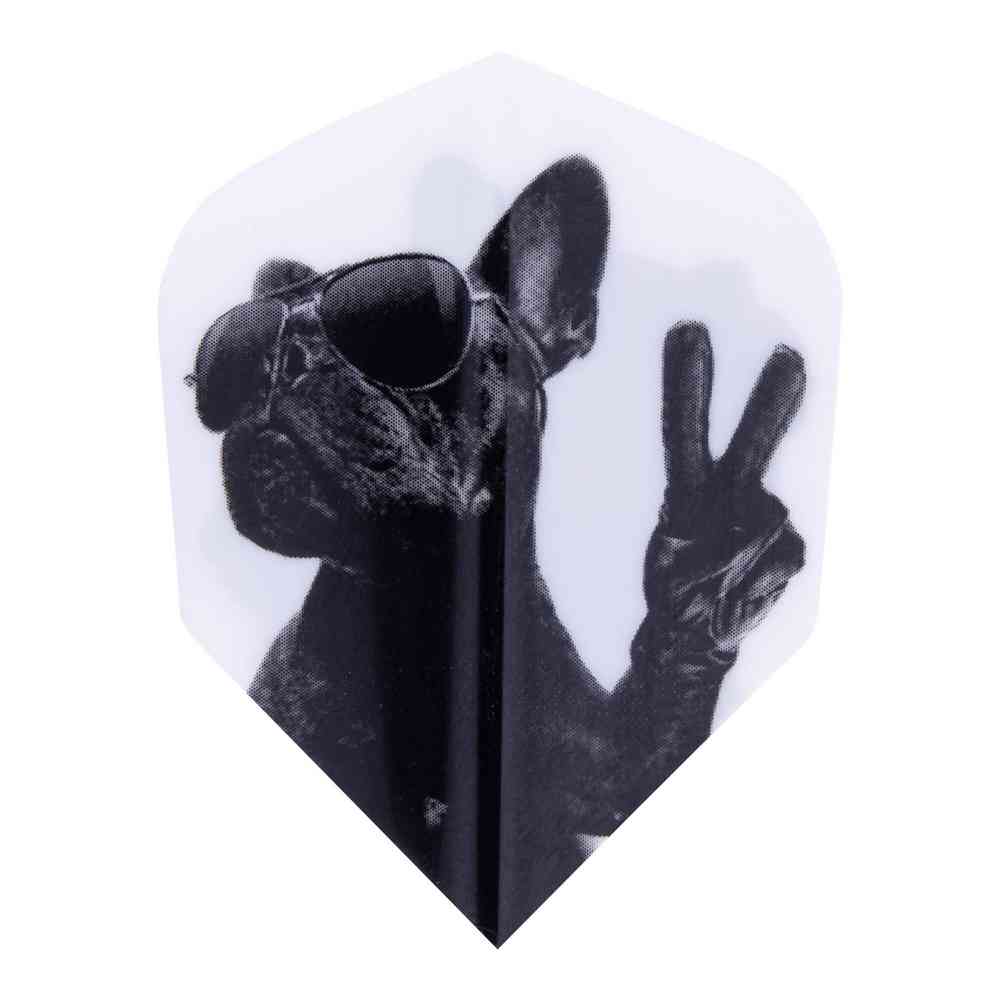 Šipky steel Windson Doggy 23g Brass