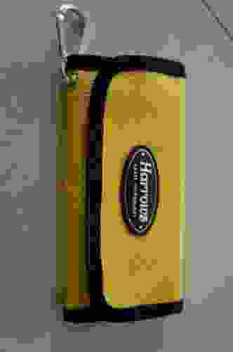 Pouzdro pro šipky buzz wallet harrows