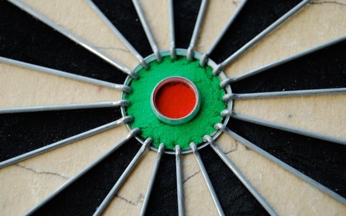 Sisálový Terč Winmau PRO SFB