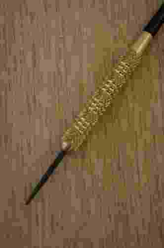Šipky target adrian lewis first play 22gr steel