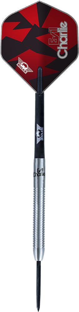 Šipky steel Karel Sedláček 80% 24g