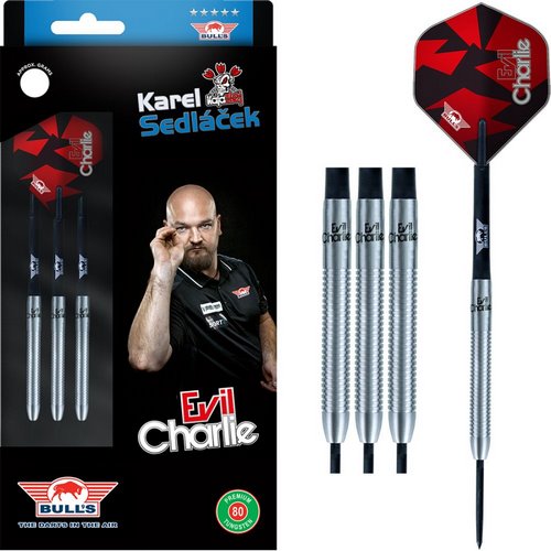 Šipky steel Karel Sedláček 80% 24g